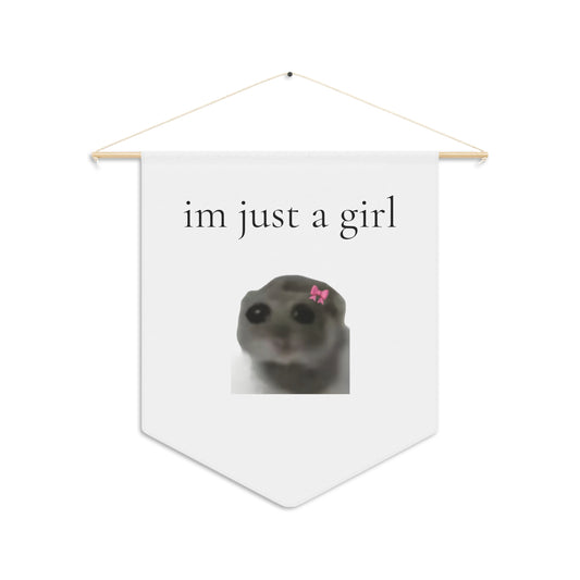 Im just a girl banner