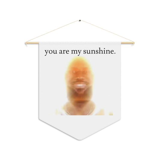 You are my sunshine banner