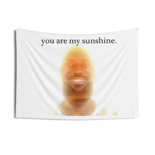 You are my sunshine Flag